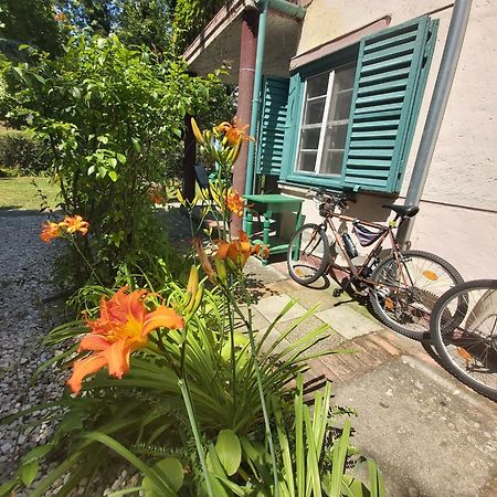 Garden Budha Relax Apartman, Parking, Bbq, Terrace Siófok Extérieur photo