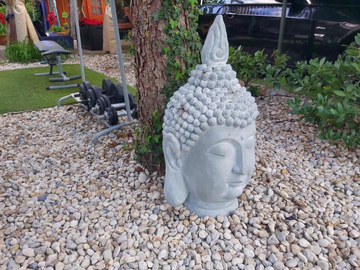 Garden Budha Relax Apartman, Parking, Bbq, Terrace Siófok Extérieur photo