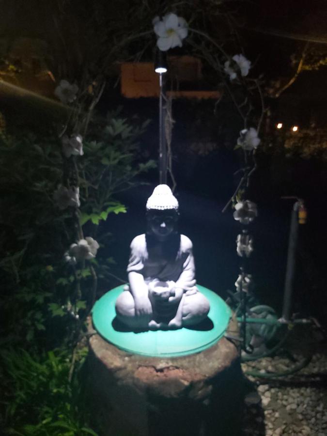 Garden Budha Relax Apartman, Parking, Bbq, Terrace Siófok Extérieur photo