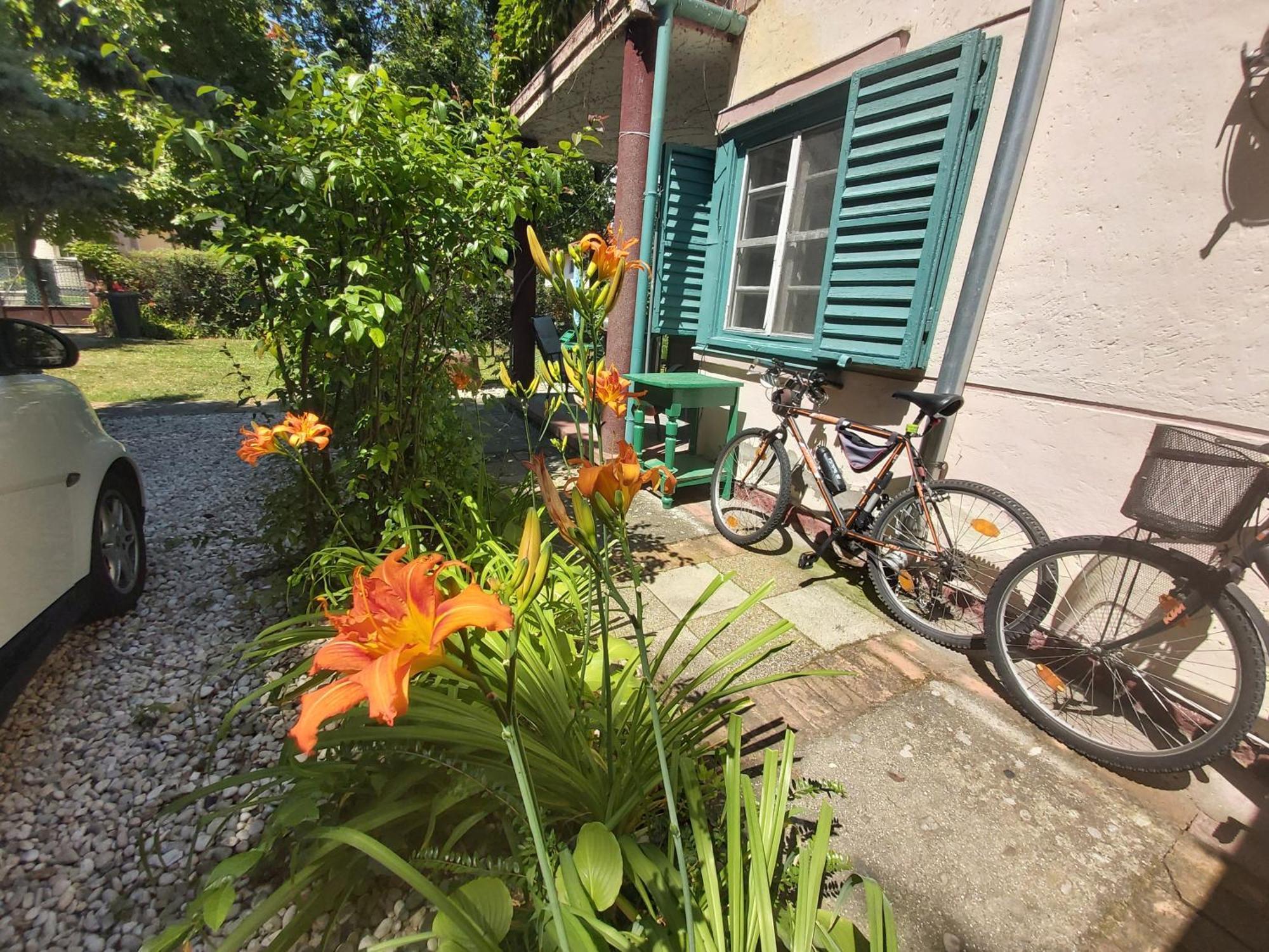 Garden Budha Relax Apartman, Parking, Bbq, Terrace Siófok Extérieur photo