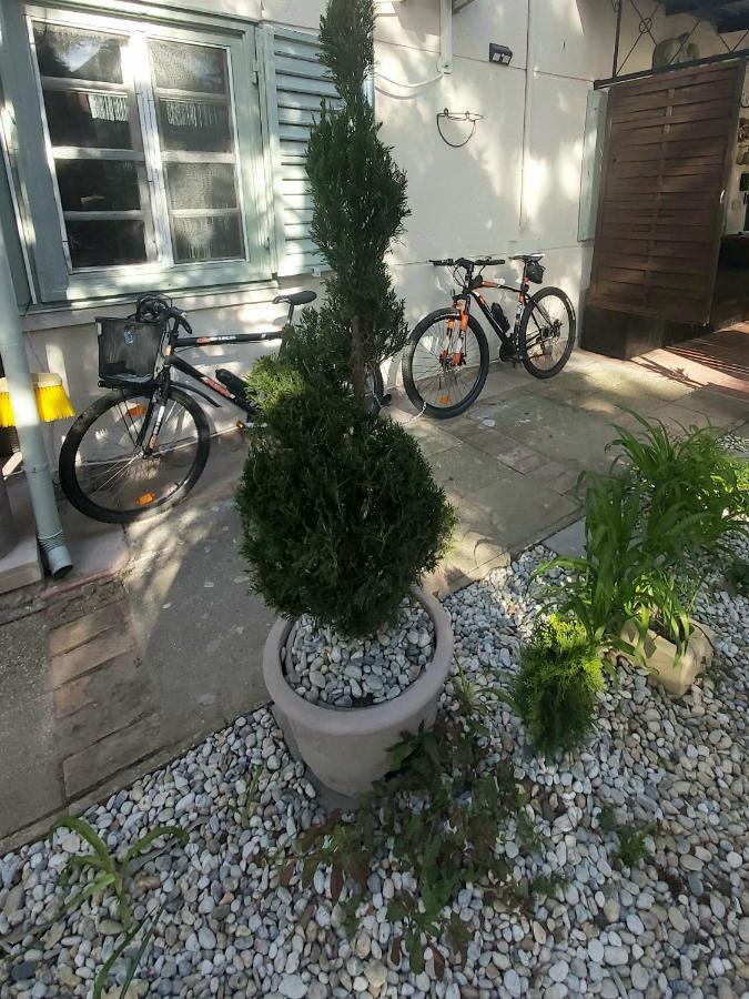 Garden Budha Relax Apartman, Parking, Bbq, Terrace Siófok Extérieur photo