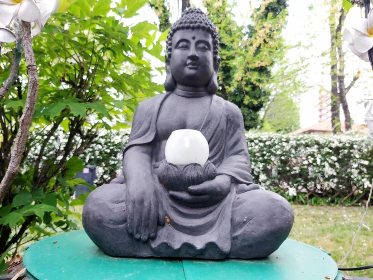 Garden Budha Relax Apartman, Parking, Bbq, Terrace Siófok Extérieur photo