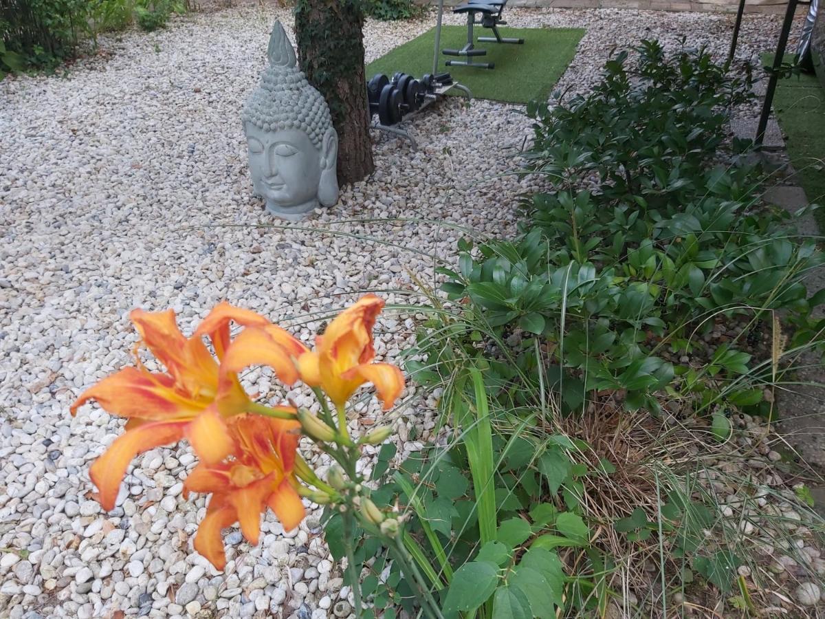 Garden Budha Relax Apartman, Parking, Bbq, Terrace Siófok Extérieur photo