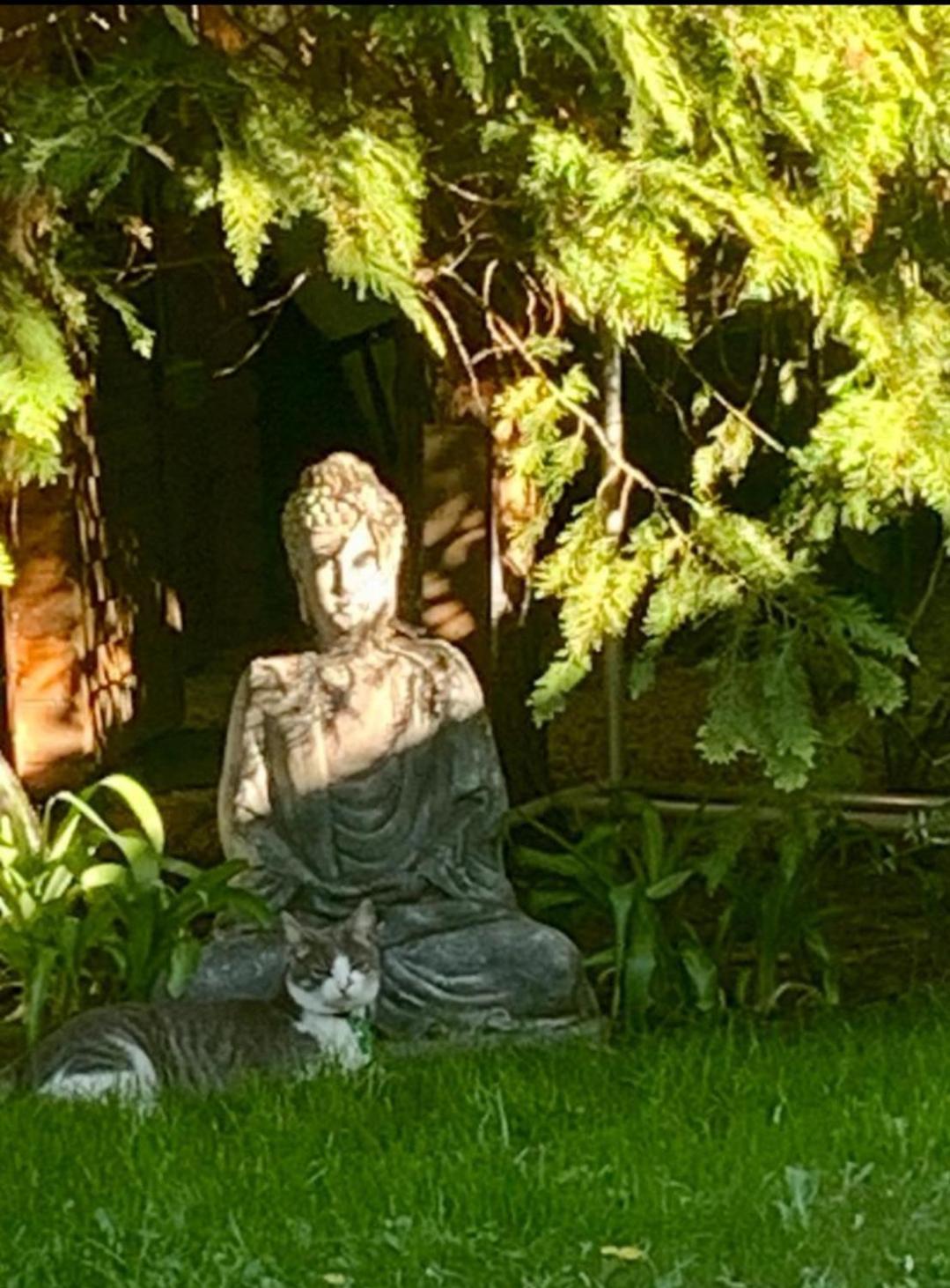Garden Budha Relax Apartman, Parking, Bbq, Terrace Siófok Extérieur photo