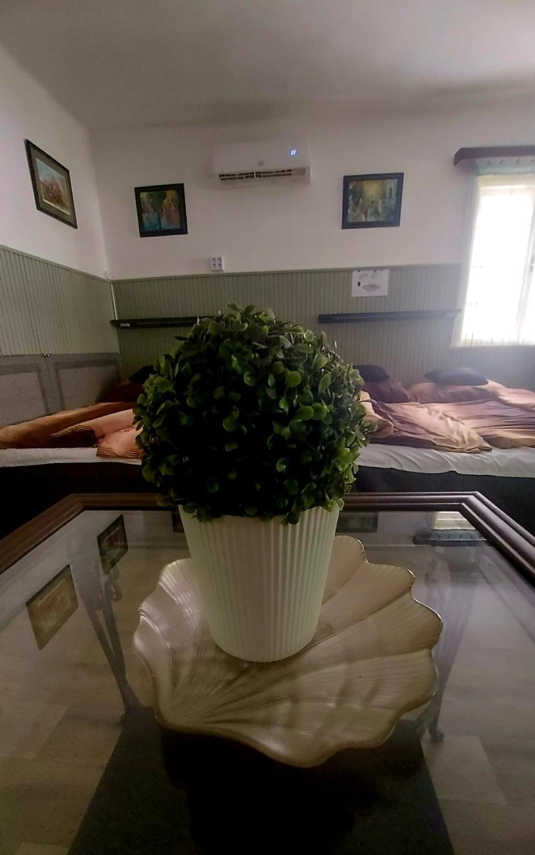 Garden Budha Relax Apartman, Parking, Bbq, Terrace Siófok Extérieur photo